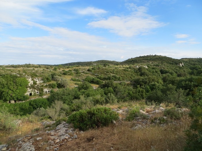 Landscape of Sicily -- 2015 season