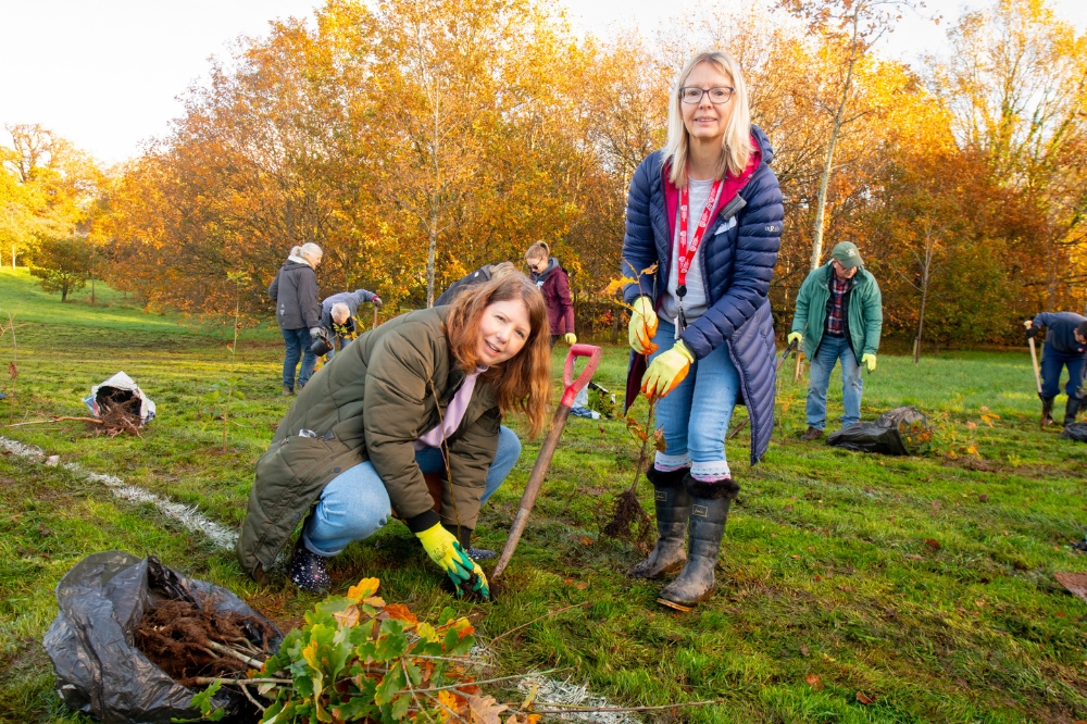 staff volunteers helping to plant saplings at Malone Playing Fields