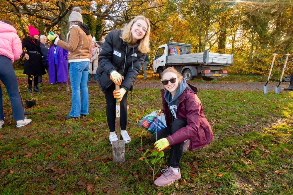 student volunteers helping to plant saplings at Malone Playing Fields