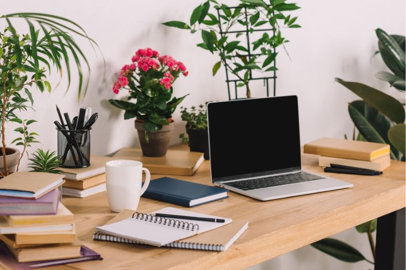 A laptop sitting on a desk surrounded by books and plants