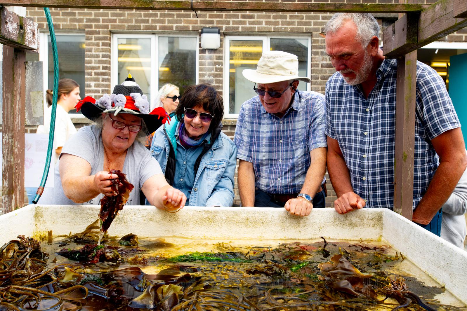 members of the public being shown some of the aquatic flora and fauna found in Strangford Lough at the Queen's University Belfast Marine Laboratory Open Day 2024